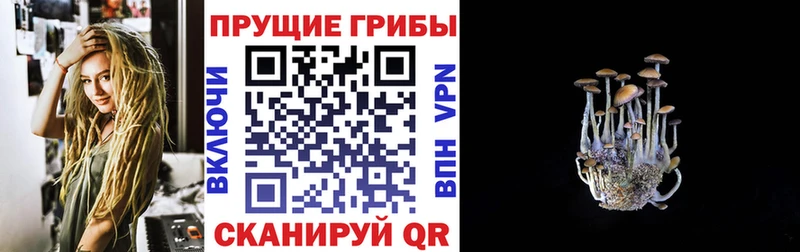 сайты даркнета наркотические препараты  Иркутск  Псилоцибиновые грибы прущие грибы 